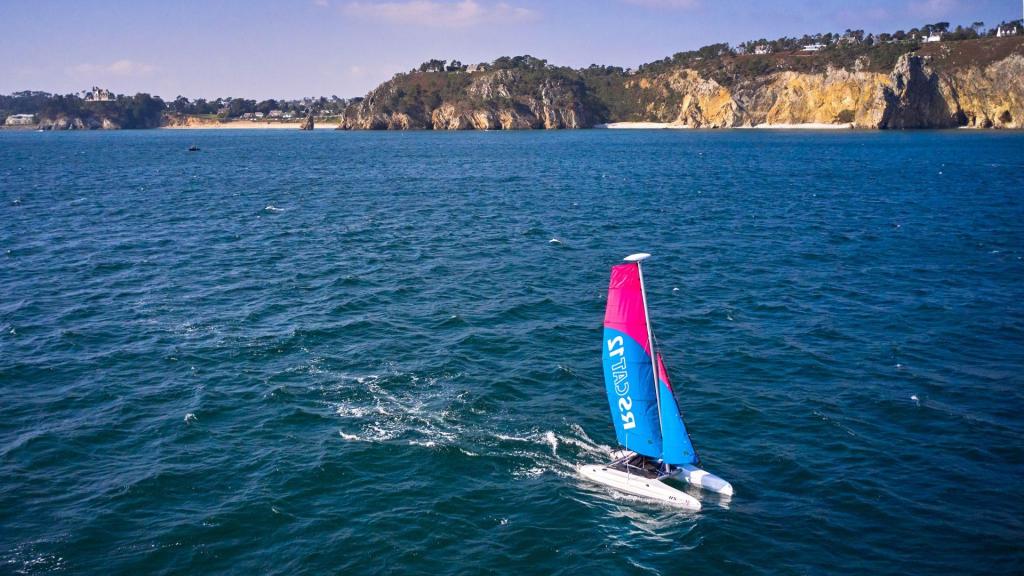 RS CAT12