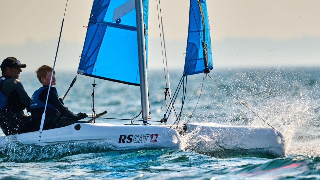 RS CAT12