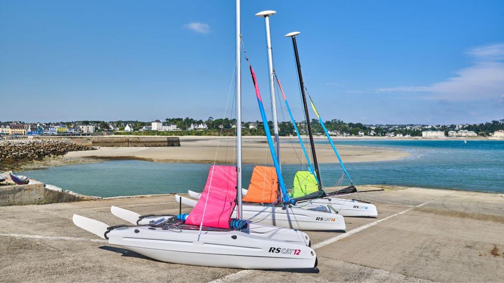 RS CAT12