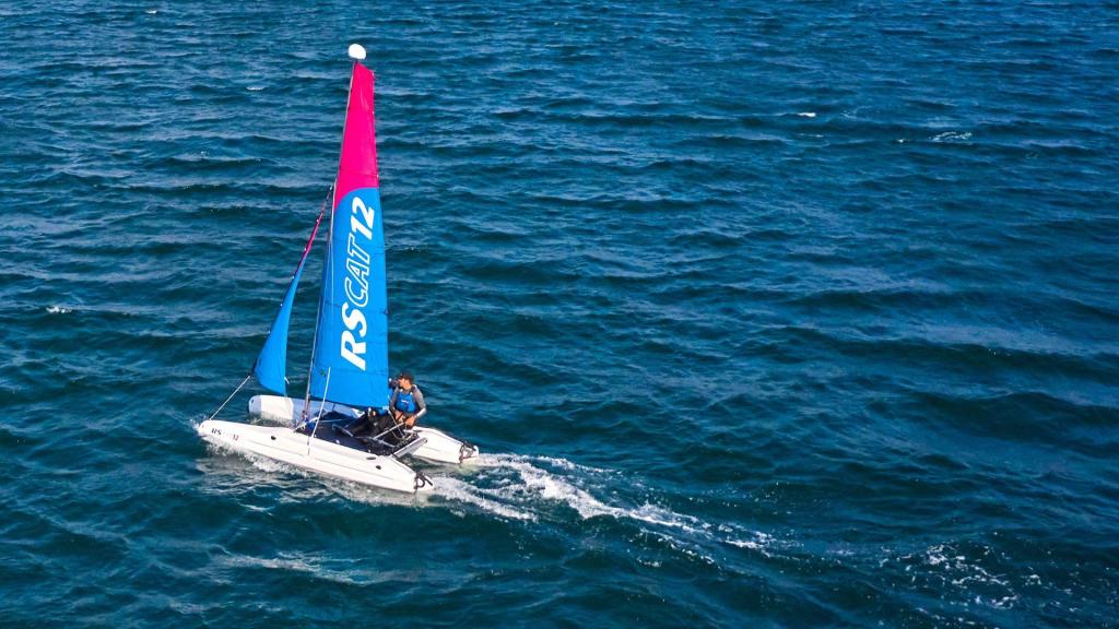 RS CAT12