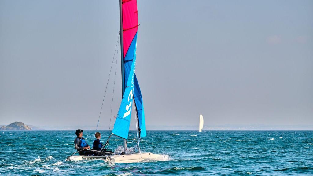 RS CAT12
