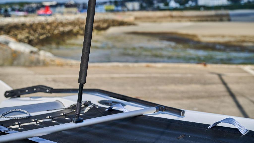 RS CAT12