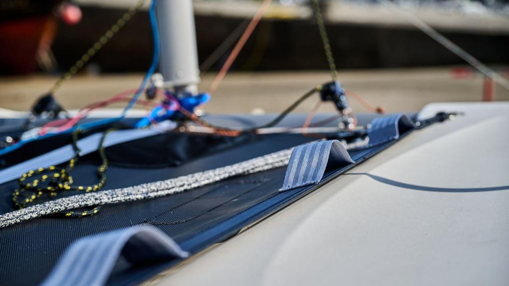 RS CAT12