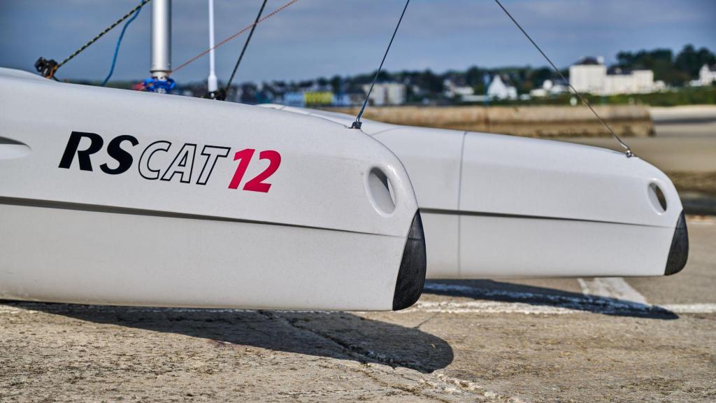 RS CAT12