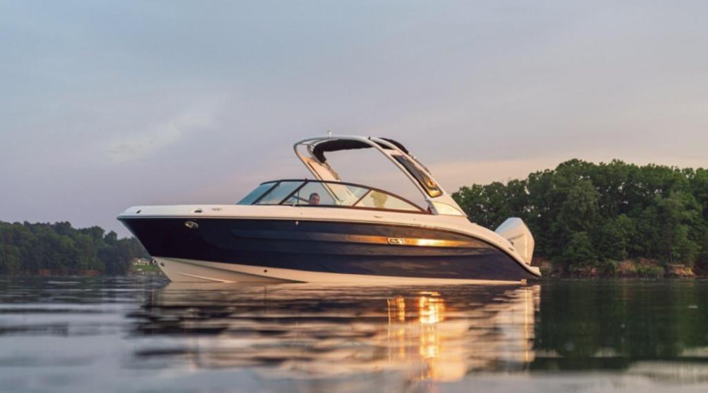 Sea Ray SDX 250 Outboard