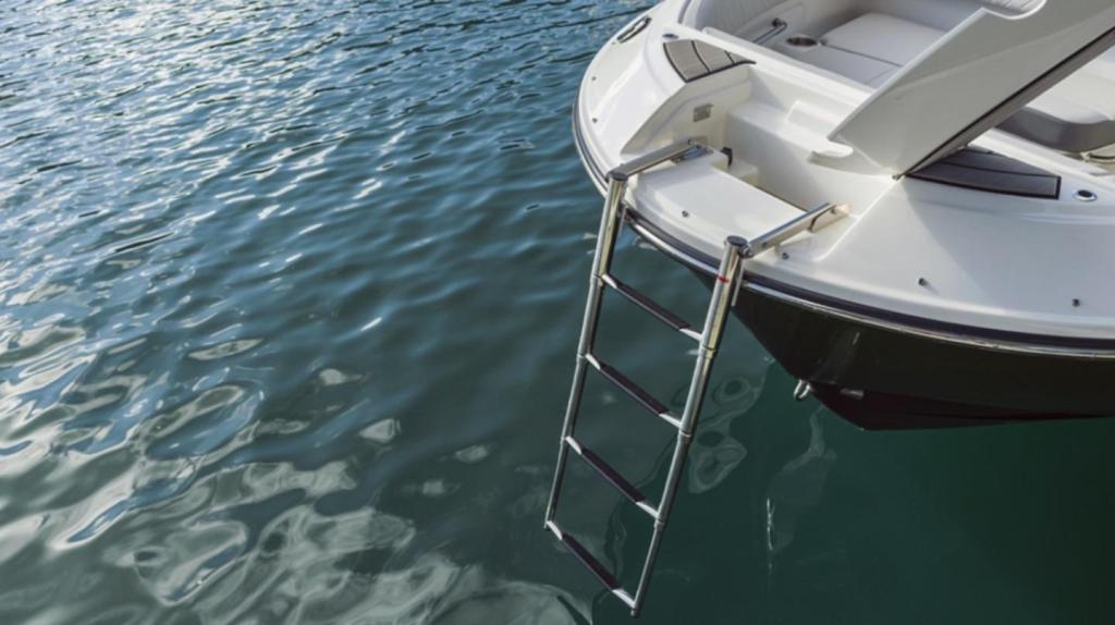 Sea Ray SDX 250 Outboard