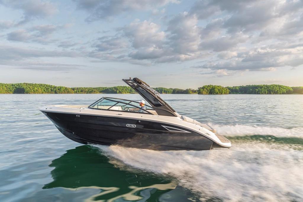 Sea Ray SDX 250
