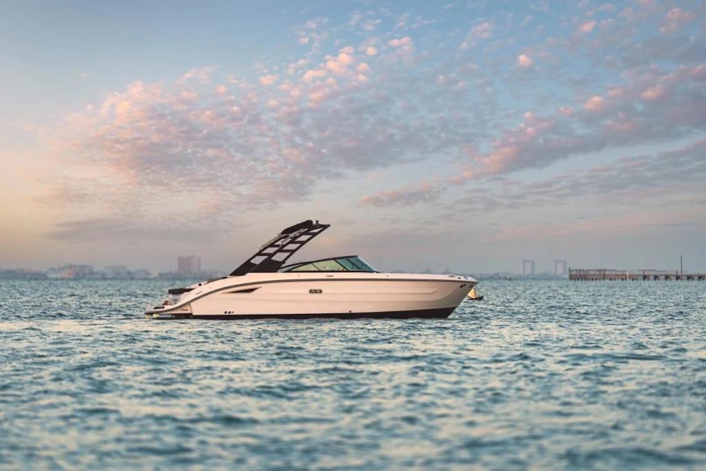 Sea Ray SDX 270