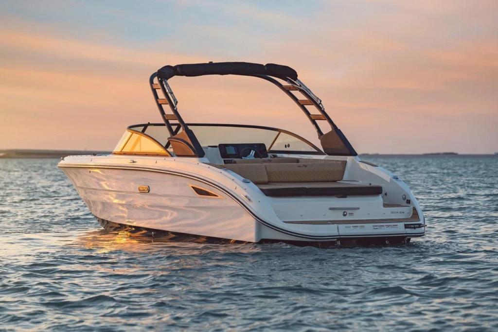 Sea Ray SDX 270