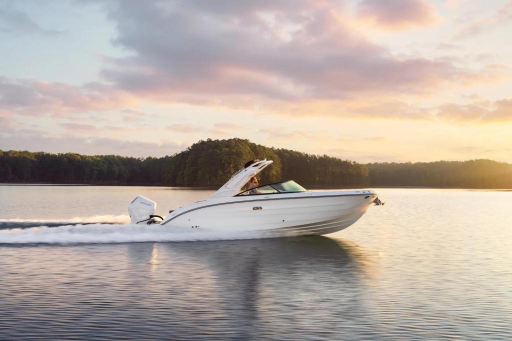 Sea Ray SDX 270 Outboard