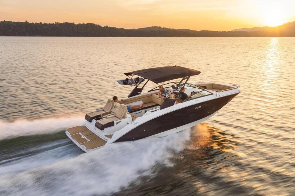 Sea Ray SDX 290