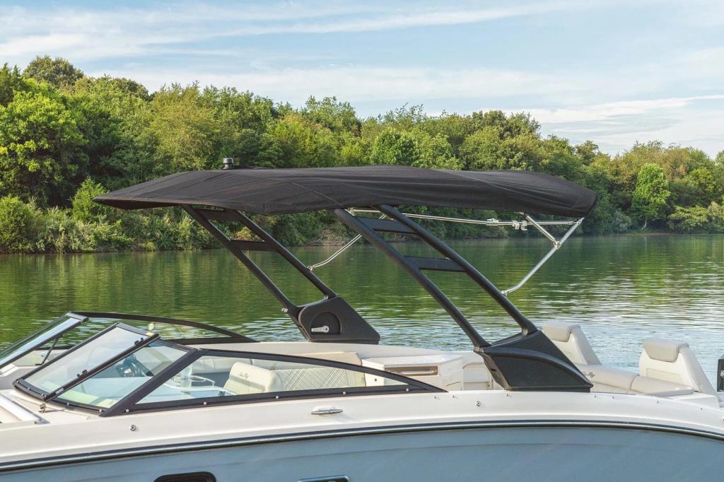 Sea Ray SDX 290 Outboard