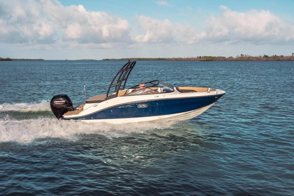 Sea Ray SPX 190 Outboard