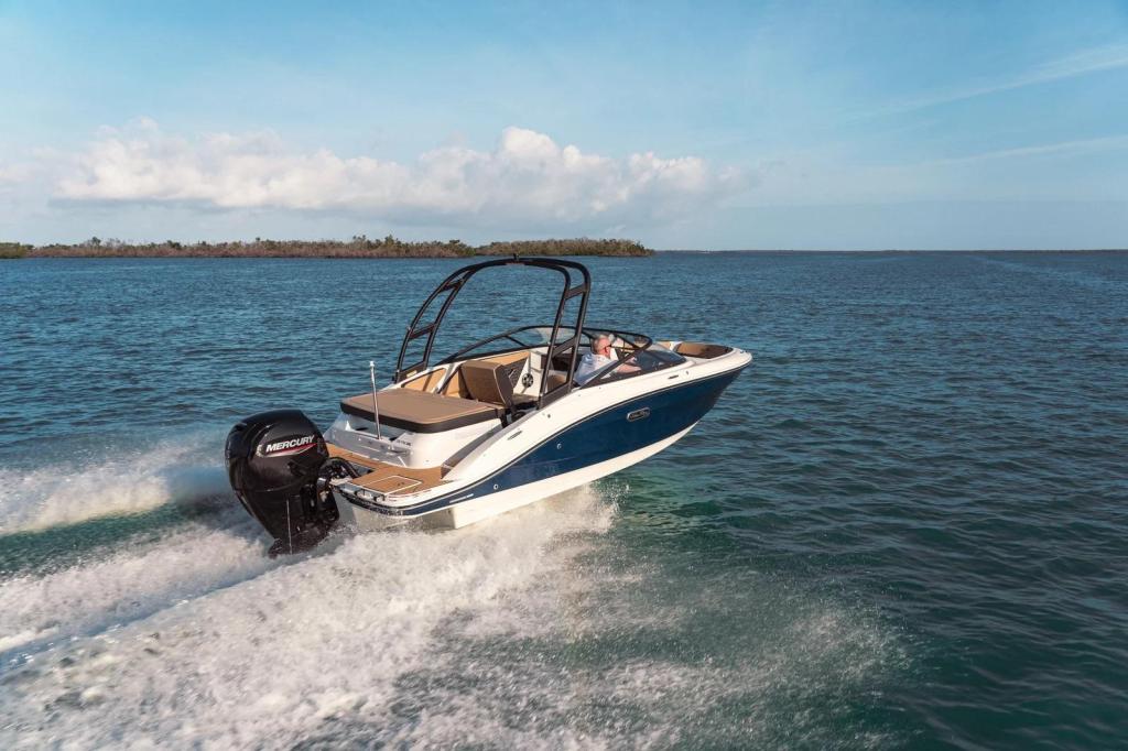 Sea Ray SPX 190 Outboard