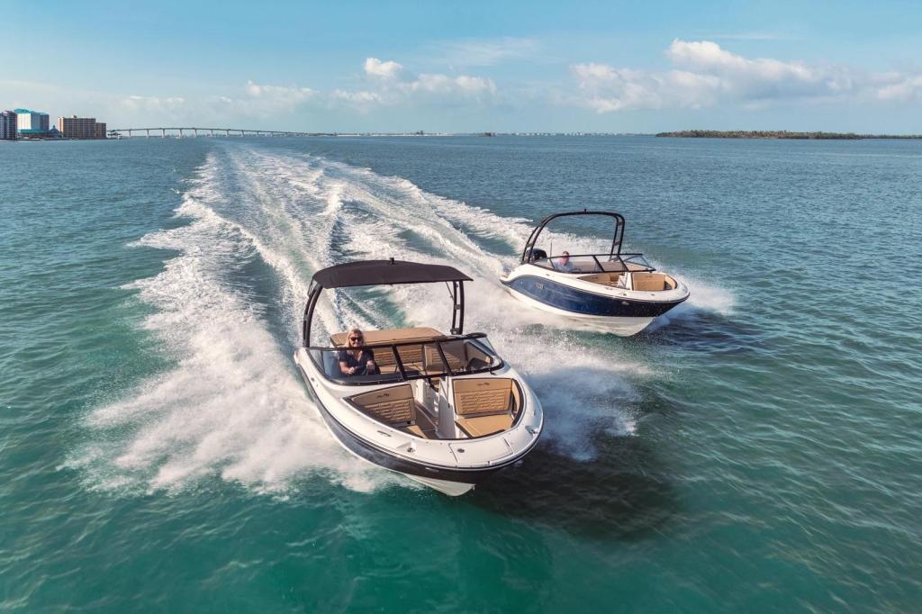 Sea Ray SPX 190 Outboard