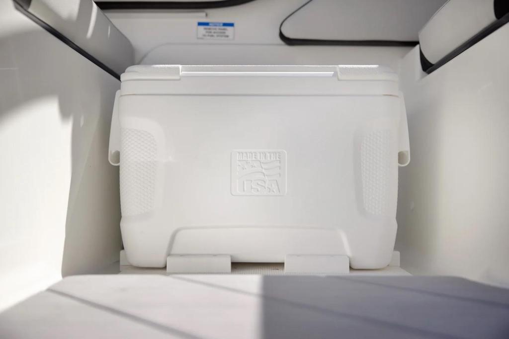 Sea Ray SPX 210 Outboard