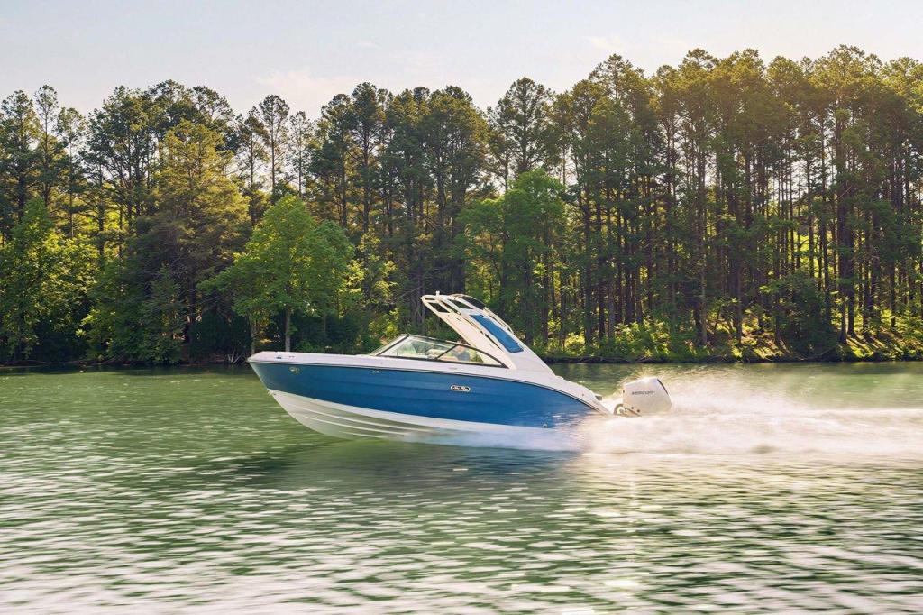 Sea Ray SDX 230 Outboard