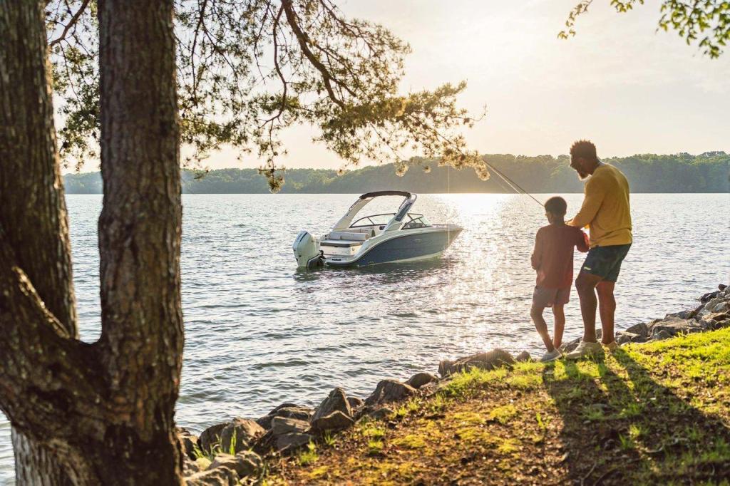 Sea Ray SDX 230 Outboard