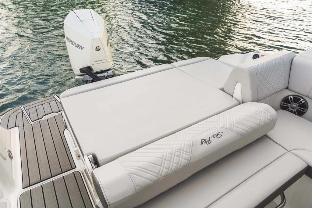 Sea Ray SDX 230 Outboard