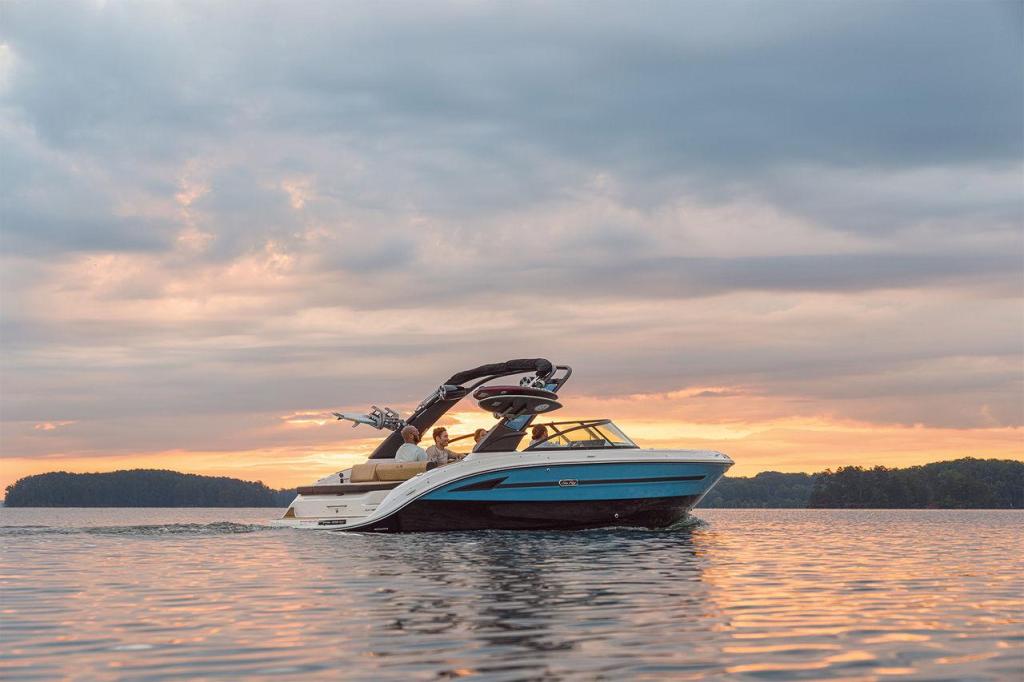 Sea Ray SDX 250 Surf
