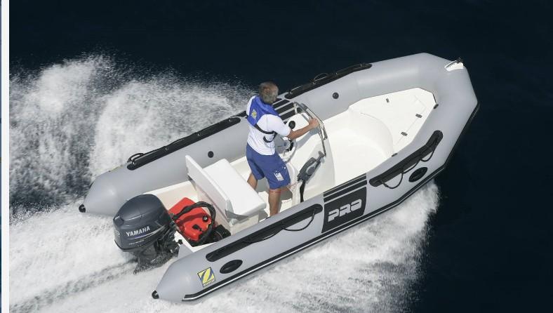 Zodiac Pro Classic 500