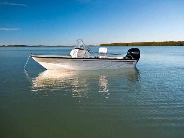 Boston Whaler 150 Montauk