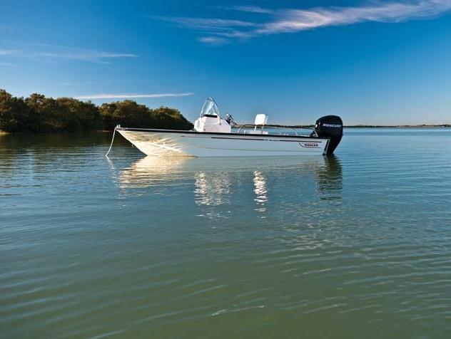 Boston Whaler 150 Montauk
