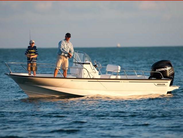 Boston Whaler 190 Montauk