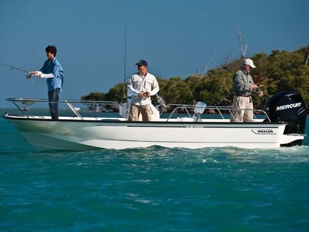 Boston Whaler 190 Montauk