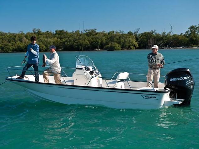 Boston Whaler 190 Montauk